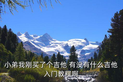 兒童吉他入門教程，小弟我剛買了個吉他 有沒有什么吉他入門教程啊