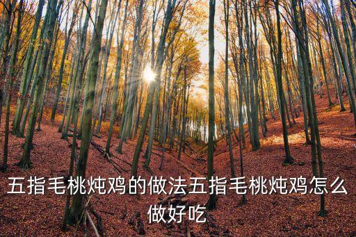 五指毛桃燉雞的做法五指毛桃燉雞怎么做好吃