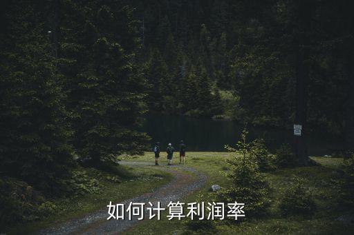 利潤率如何計算，如何計算利潤率