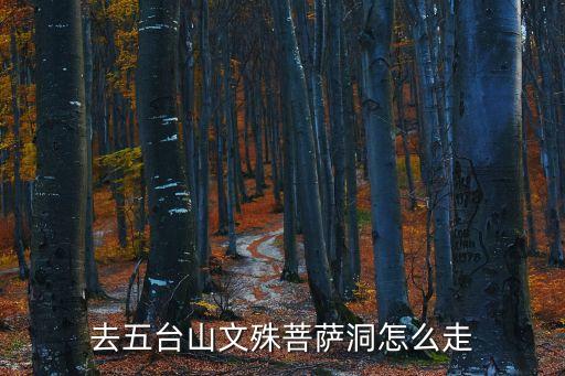 文殊洞，蜀門 文殊洞聲望 能用師道值換取嗎