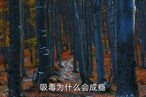 吸毒為什么會成癮