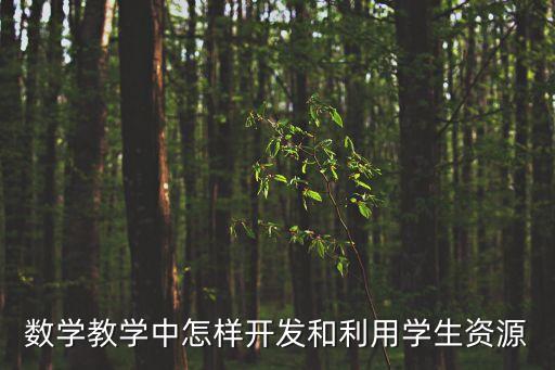 數學教學中怎樣開發和利用學生資源