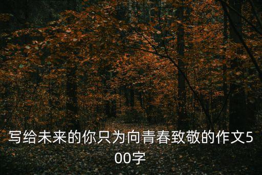 給未來的你，寫給未來的你只為向青春致敬的作文500字