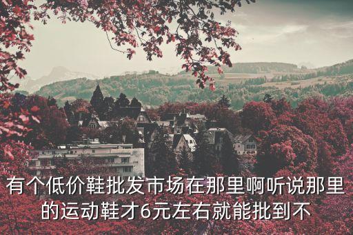 東莞萬江運動鞋，請問東莞萬江有條街是賣鞋的