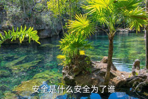 安全為了誰，安全是什么安全為了誰