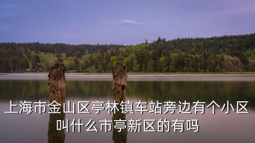 上海市金山區建邦華庭，上海金山區的房子好嗎 在那邊買房哪個地段好 有升值空間 藍色收