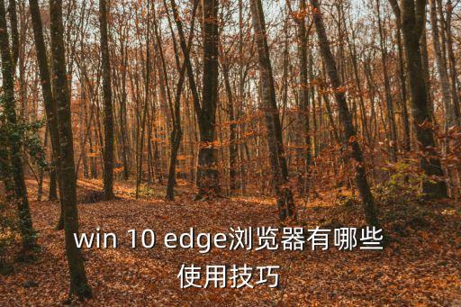 edge快捷鍵，如何使用Microsoft Edge快捷鍵