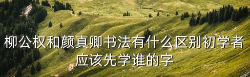 柳公權和顏真卿書法有什么區別初學者應該先學誰的字