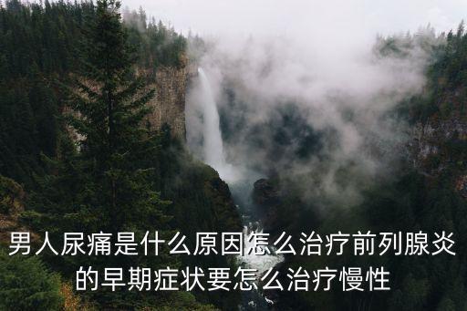 男人尿痛是什么原因怎么治療前列腺炎的早期癥狀要怎么治療慢性