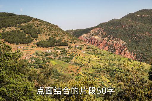 點(diǎn)面結(jié)合的片段50字