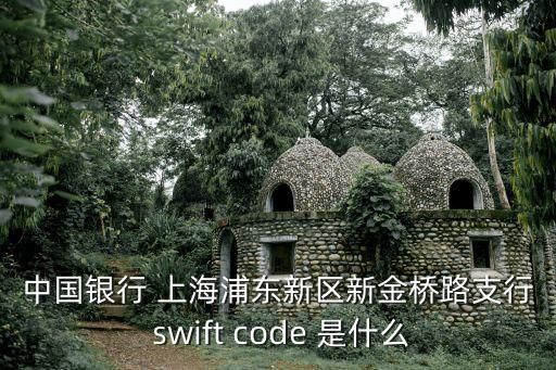 中國銀行 上海浦東新區(qū)新金橋路支行 swift code 是什么
