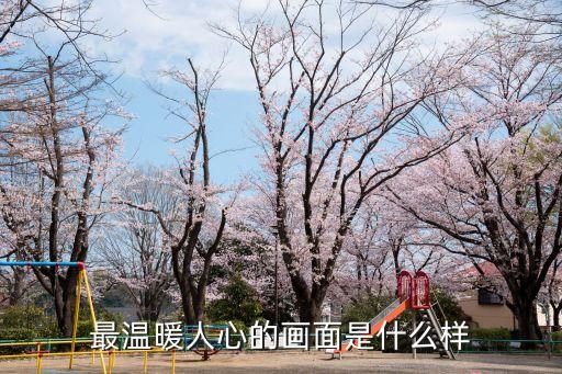 最溫暖人心的畫面是什么樣