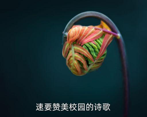 速要贊美校園的詩(shī)歌