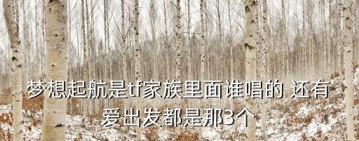 夢想起航是tf家族里面誰唱的 還有愛出發(fā)都是那3個