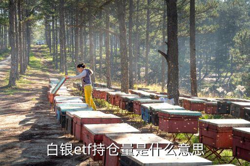 白銀etf持倉量是什么意思