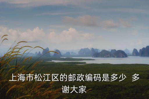 上海市松江區(qū)的郵政編碼是多少  多謝大家