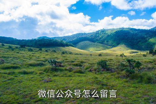 微信公眾號怎么留言