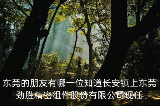 東莞何德洪，東莞市華勝家具廠的董事長(zhǎng)是誰(shuí)