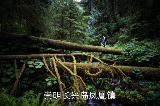 上海市崇明區長興鎮實景，崇明旅游景點
