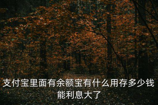 支付寶里面有余額寶有什么用存多少錢能利息大了