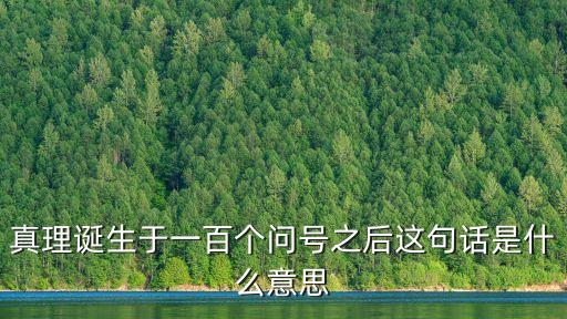 真理誕生于一百個問號之后這句話是什么意思