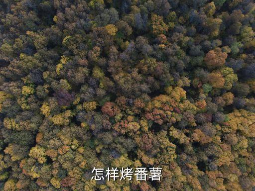 怎樣烤番薯