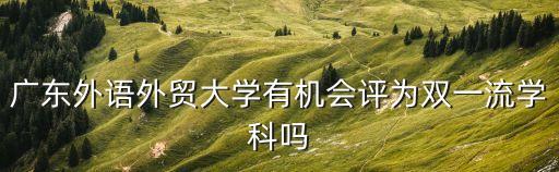 廣東外語外貿大學有機會評為雙一流學科嗎