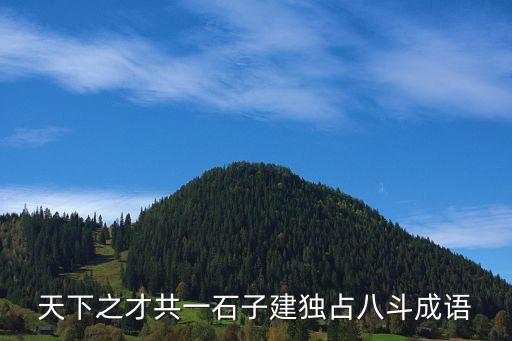 天下之才共一石子建獨(dú)占八斗成語