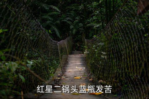 紅星二鍋頭藍(lán)瓶發(fā)苦