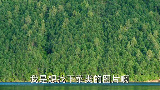 我是想找下菜類的圖片啊