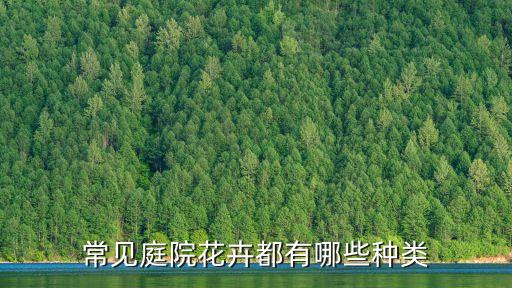 庭院花卉，適宜的庭院栽培的花卉有哪些