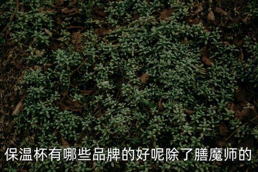 保溫杯有哪些品牌的好呢除了膳魔師的