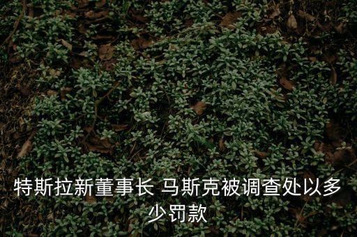 馬斯克和上海市政府對賭，馬斯克向媒體哭訴是怎么回事