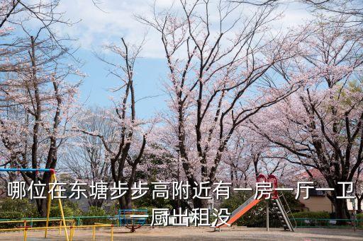 哪位在東塘步步高附近有一房一廳一衛(wèi)一廚出租沒