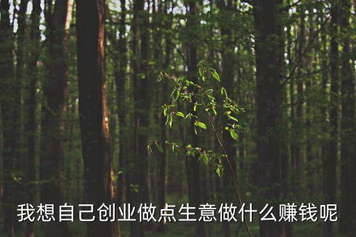 創(chuàng)業(yè)賺錢，怎樣創(chuàng)業(yè)賺錢