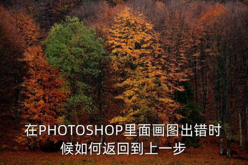 在PHOTOSHOP里面畫圖出錯時候如何返回到上一步