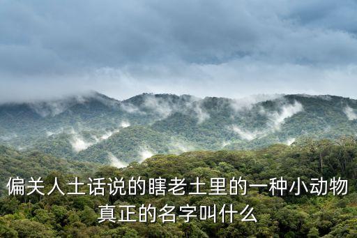 偏關人土話說的瞎老土里的一種小動物真正的名字叫什么