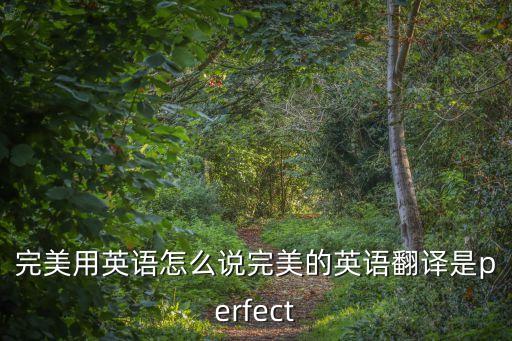 完善的英文，完美用英語怎么說完美的英語翻譯是perfect