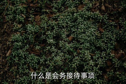 什么是會(huì)務(wù)接待事項(xiàng)