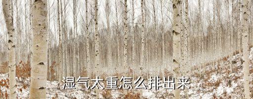 濕氣如何排出體外，體內濕氣如何排出體外 生活常識有哪些
