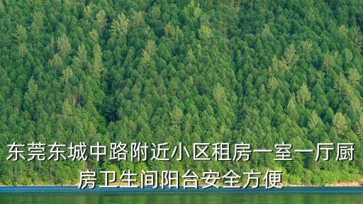 東莞東城中路附近小區租房一室一廳廚房衛生間陽臺安全方便
