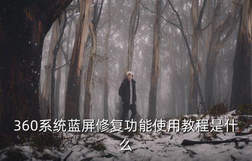 360藍(lán)屏修復(fù)，360藍(lán)屏修復(fù)