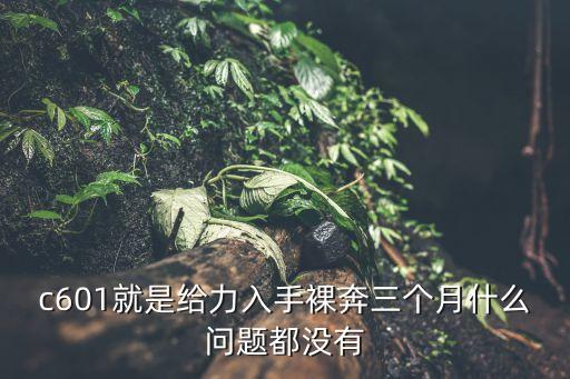 c601就是給力入手裸奔三個月什么問題都沒有