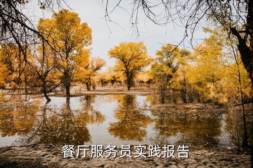 服務員實習報告，服務員的實習報告應該怎樣寫