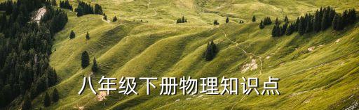 八下物理，要八年級下的物理題謝了附答案題稍難
