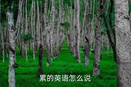 累的英語怎么說
