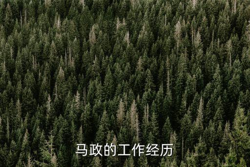 上海市紅橋區(qū)委書記是，現(xiàn)在青島跟上海的市委書記各是誰