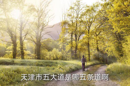 天津市五大道是哪五條道啊