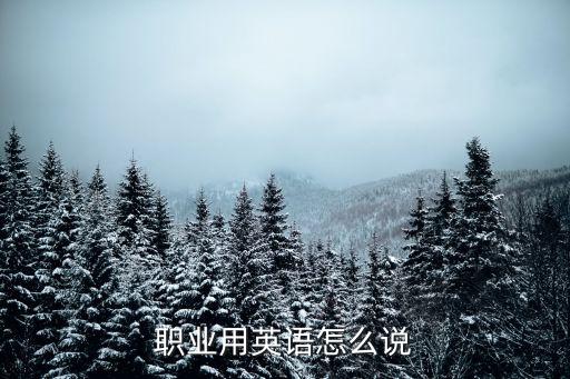 職業用英語怎么說