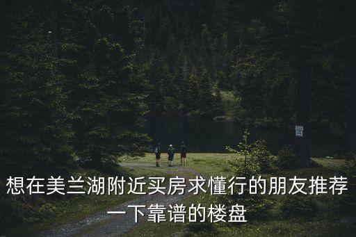 想在美蘭湖附近買房求懂行的朋友推薦一下靠譜的樓盤